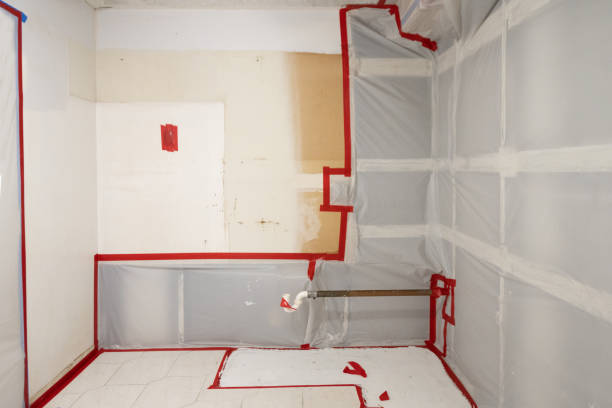 Best Post-Remediation Verification Testing  in Laguna Heights, TX