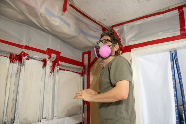 Best Mold Damage Restoration  in Laguna Heights, TX