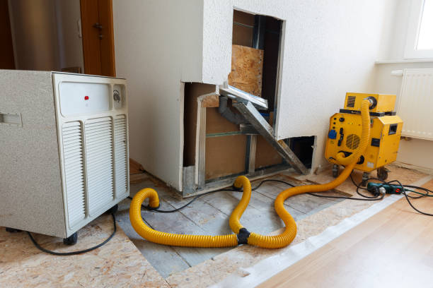 Mold Documentation for Insurance Claims in Laguna Heights, TX