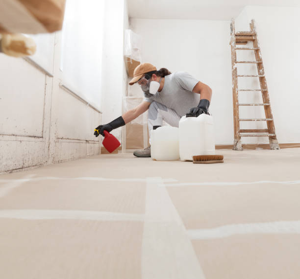Best Asbestos and Lead Testing During Mold Inspection  in Laguna Heights, TX